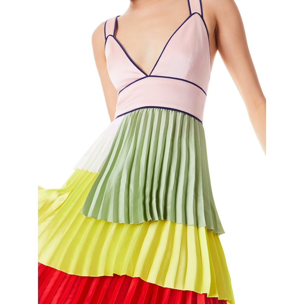 Alice + Olivia Multicolor Maxi Dress - Picture 8 of 16